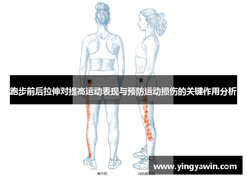 跑步前后拉伸对提高运动表现与预防运动损伤的关键作用分析