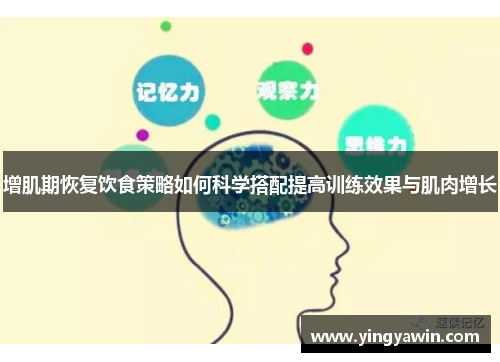 增肌期恢复饮食策略如何科学搭配提高训练效果与肌肉增长